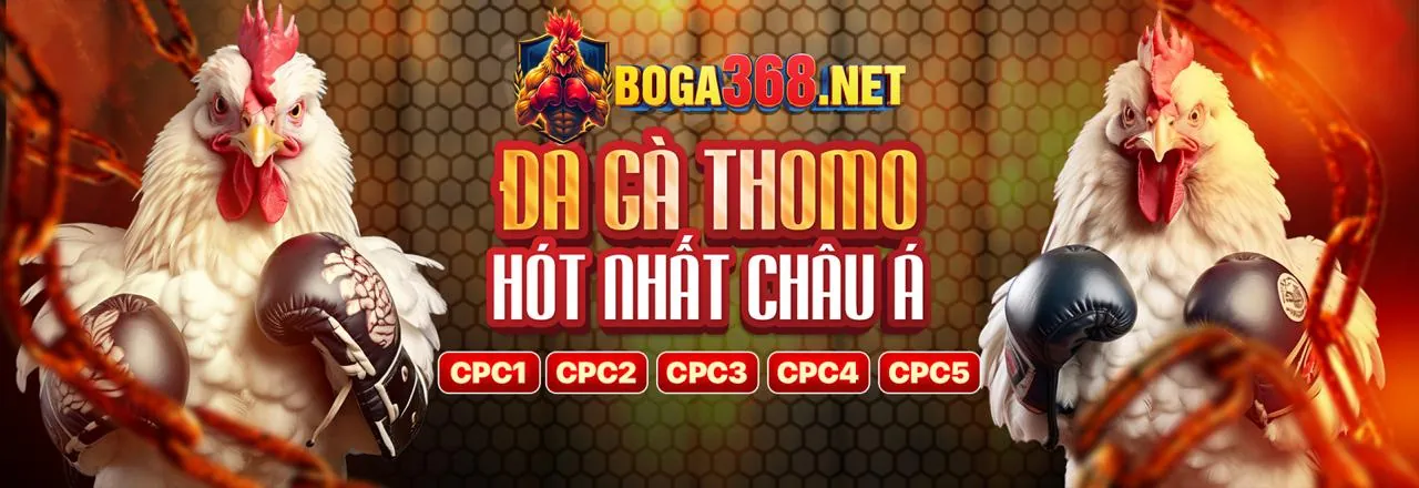 Hướng dẫn lựa chọn nền tảng giải trí trực tuyến tốt nhất với 888to